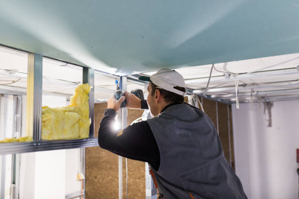 Best Insulation for Specific Applications in San Rafael, CA